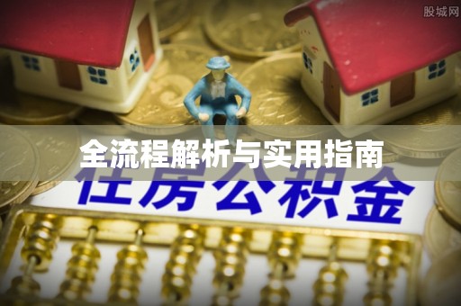丽水全流程解析与实用指南