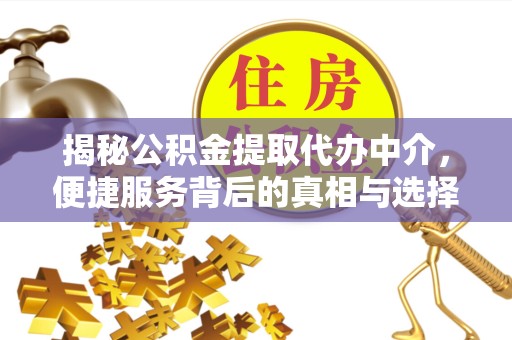 乐山揭秘公积金提取代办中介，便捷服务背后的真相与选择