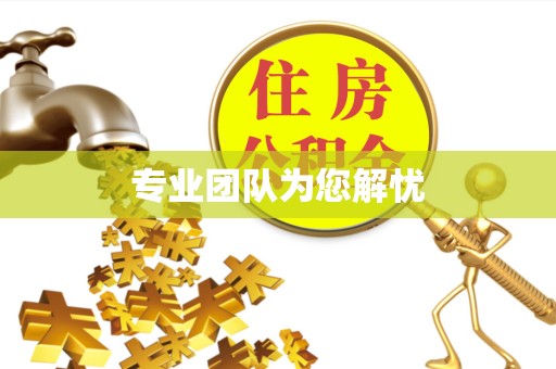 陕西专业团队为您解忧